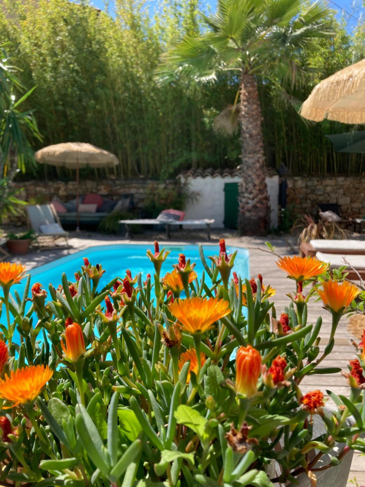 Maison D Hotes La Villa Madeleine Sanary-sur-Mer Esterno foto